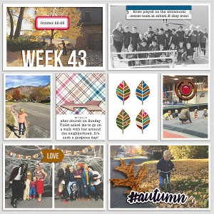2017 Week 43 - left side