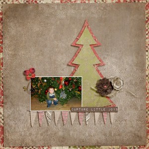 CaptureLittleJoys