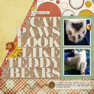 Cat Paws