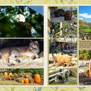 Columbus Zoo - North America