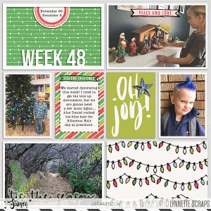 2017 Week 48 - left side