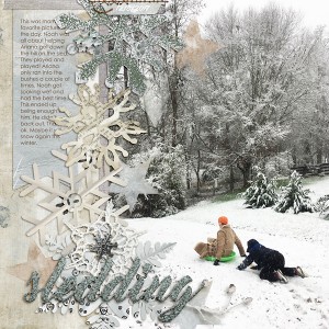Sledding