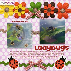 Ladybugs - Made by Melody
