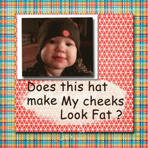 Does-this-Hat-make-my-cheeks-look-fat---web