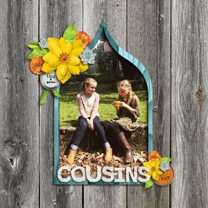 Cousins