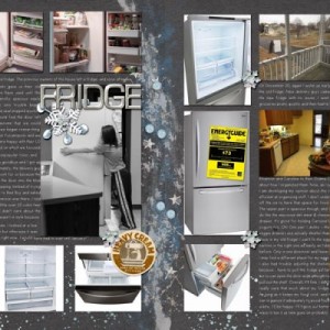 Fridge