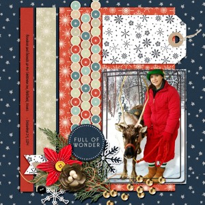 Amber-Labau_2017-12_December-Template_web