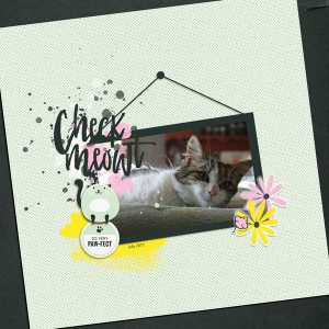 Check meowt