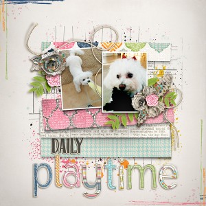Daily Playtime