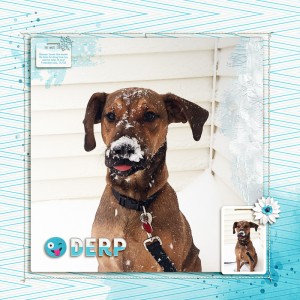 Derp
