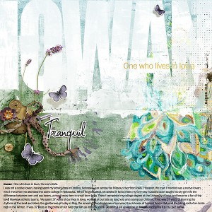 MOC_6.17 UN-Iowan