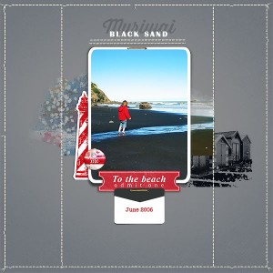 Black Sand Muriwai