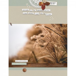 Autumn Grasses
