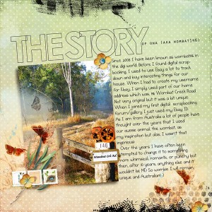 THE-STORY