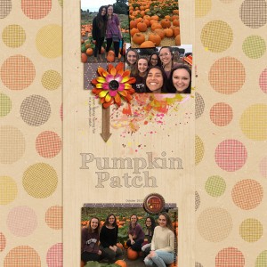 MOC 6.20 Pumpkin Patch