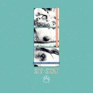 MOC 24 - Sit Stay