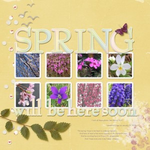 January Featured Product (Alphas) - spring will be here soon