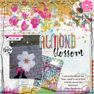 Almond blossom