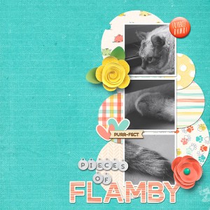 Pieces of Flamby