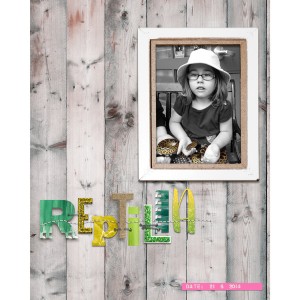 Reptilia