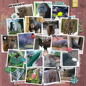 Zoo