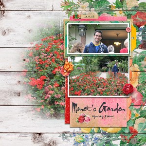 Monet's-Garden