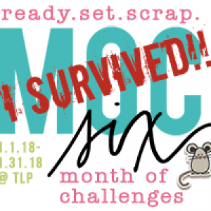 MOC_6_Survivedsig