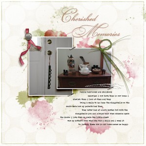 Cherished Memories (feb photography chall)