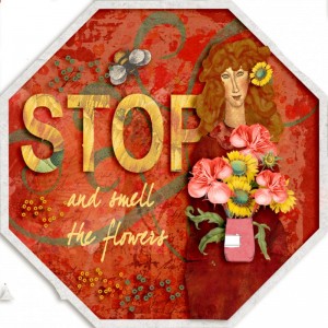 Stop And Smell