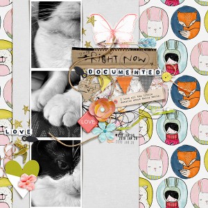 Right Now Documented - January 24th - Pieces of Us (Photography Challenge)