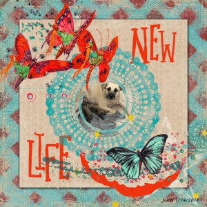 New Life - Silver Whte Winters #1