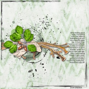 ScaredyCat_Seed2