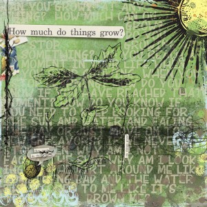 How Much Do Things Grow?  with journaling Scaredy page 1