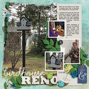 Birdhouse reno
