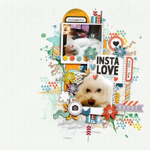 Insta Love