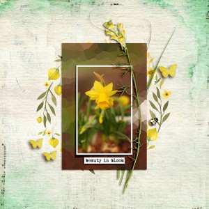 Beauty in bloom