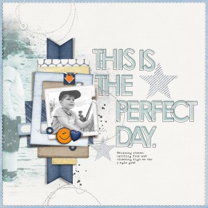 PERFECT DAY