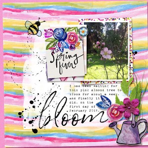 Bloom