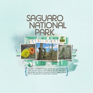 Saguaro National Park