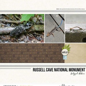 Wildlife at Russell Cave- June 2016