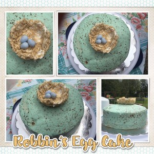 Robbin's Egg Cake