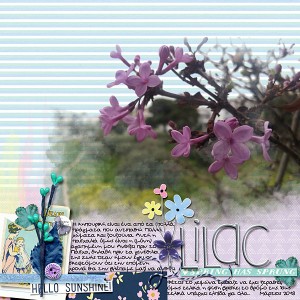 Lilac