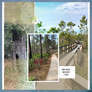 Walking Trails in Perdido Key, FL