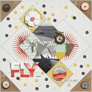 Fly