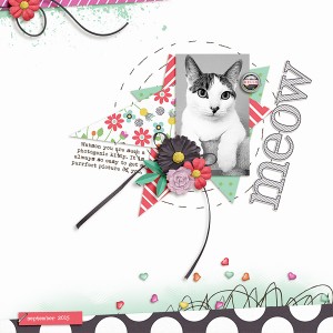 meow