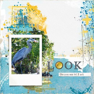 Blue Heron