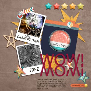 Grandfather Tree