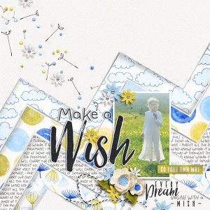 Make A Wish