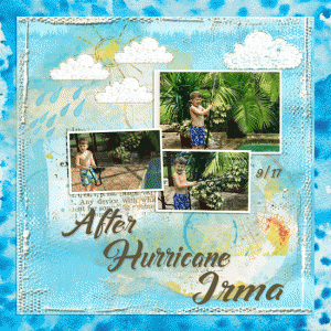 After Hurricane Irma