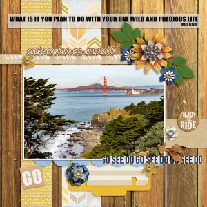 SF Bay